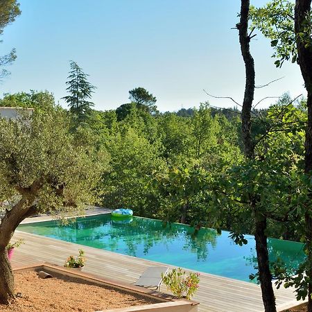 Sous Les Oliviers - Piscine Chauffee - Studios De Standing Tout-Equipes Saint-Maximin Exterior foto