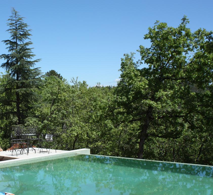 Sous Les Oliviers - Piscine Chauffee - Studios De Standing Tout-Equipes Saint-Maximin Habitación foto
