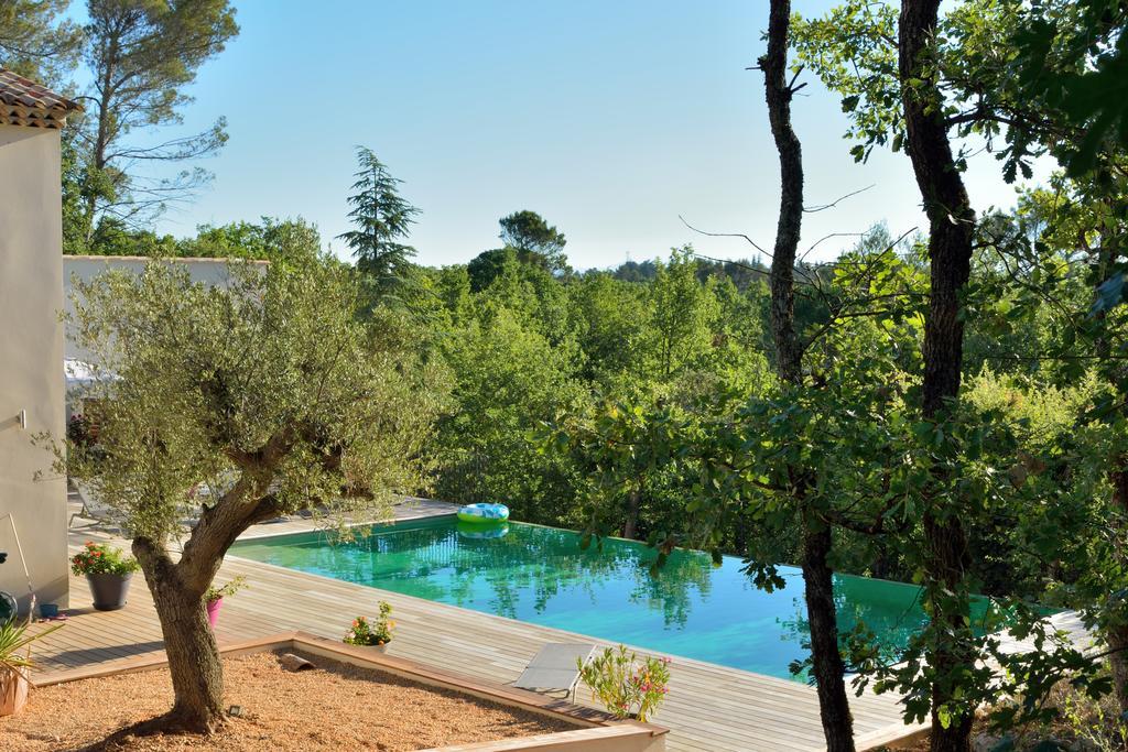 Sous Les Oliviers - Piscine Chauffee - Studios De Standing Tout-Equipes Saint-Maximin Exterior foto