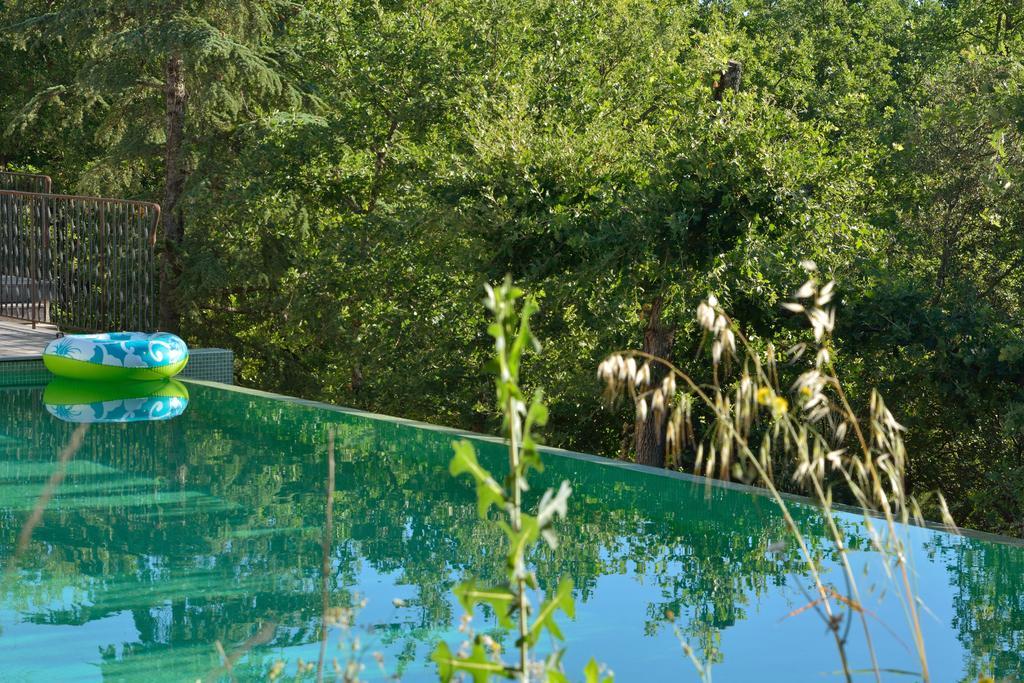 Sous Les Oliviers - Piscine Chauffee - Studios De Standing Tout-Equipes Saint-Maximin Exterior foto