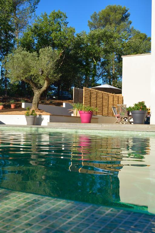 Sous Les Oliviers - Piscine Chauffee - Studios De Standing Tout-Equipes Saint-Maximin Exterior foto