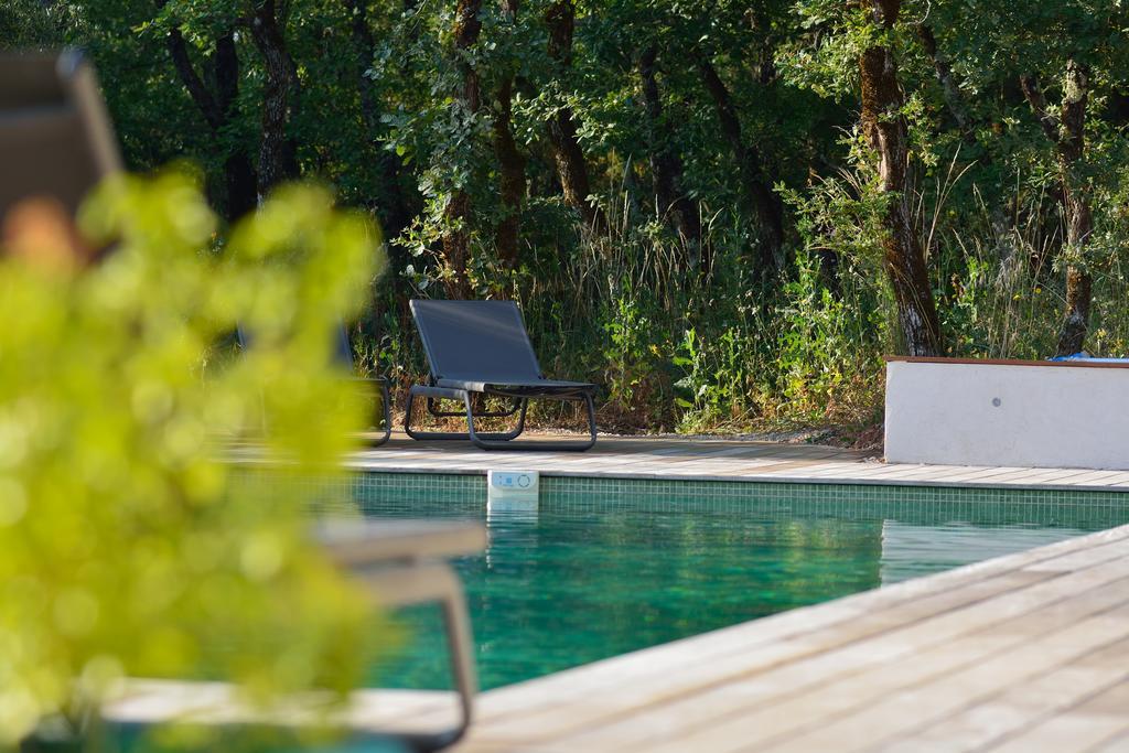 Sous Les Oliviers - Piscine Chauffee - Studios De Standing Tout-Equipes Saint-Maximin Exterior foto
